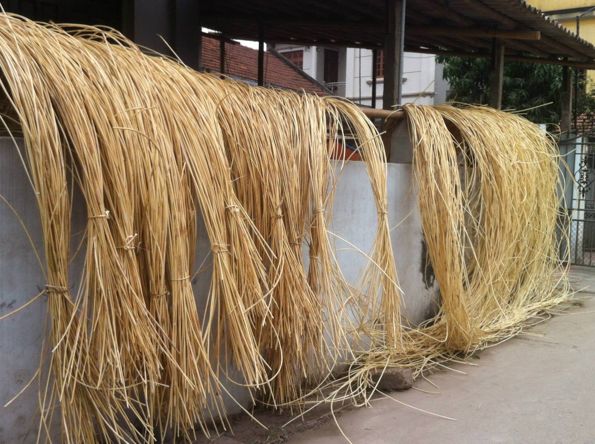 Vietnam Factory Natural Rattan Material For Furniture Rattan Garden Furniture +84947900124