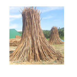 TOP QUALITY RATTAN RAW MATERIAL RATTAN POLE SIZE 7-45mm +84947900124