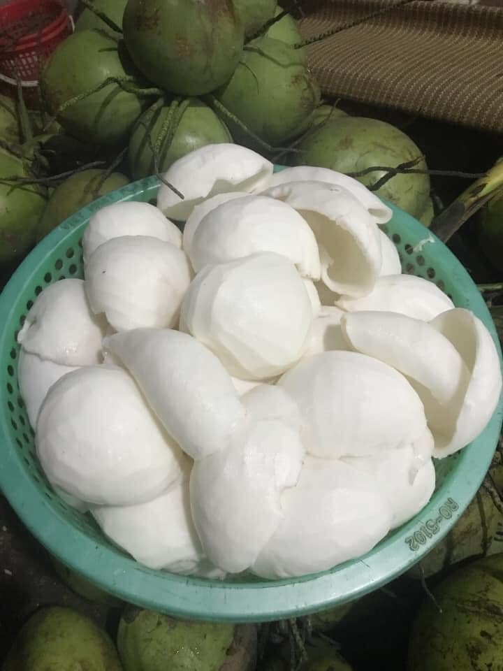 Fresh Coconut meat Jelly coconut meat is fruit meat inside a Coconut +84947900124