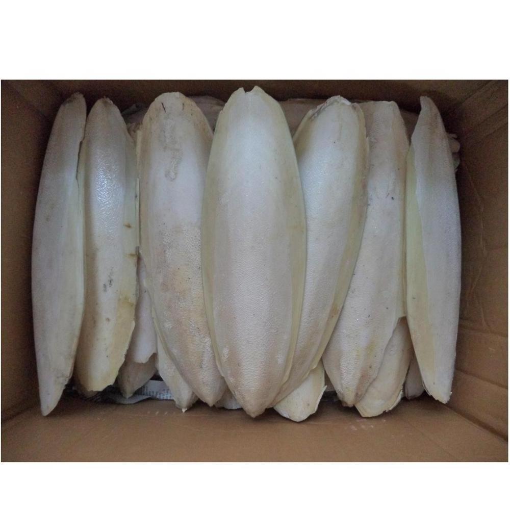 High Quality Vietnam Dried Cuttlefish Bone For Pet Toy Customized Packed +84947900124