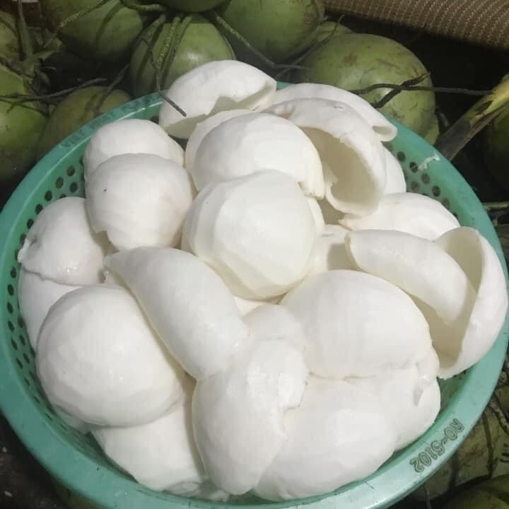 FROZEN COCONUT MEAT  high quality and rich fat  +84947900124