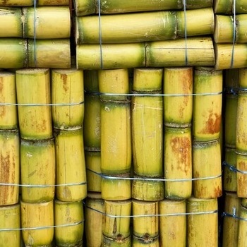 Sweet And Juicy  Frozen Sugar Cane +84815570479