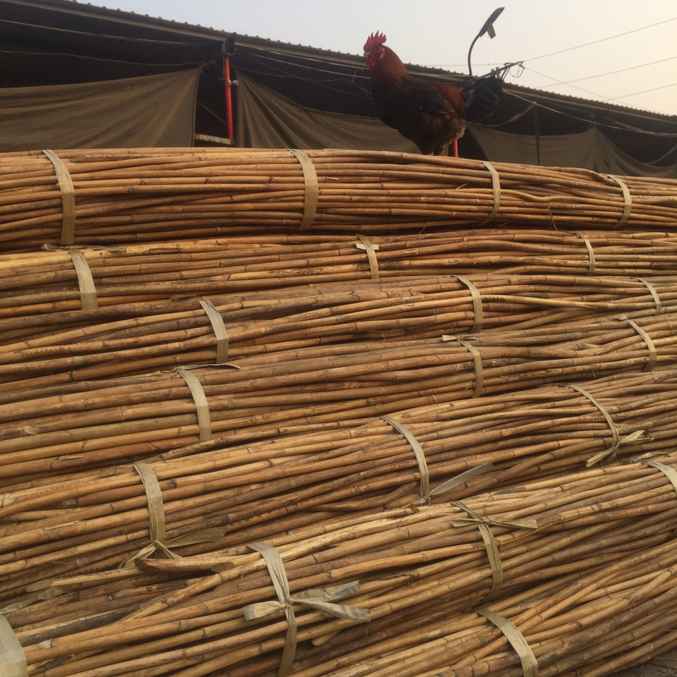 TOP QUALITY RATTAN RAW MATERIAL RATTAN POLE SIZE 7-45mm +84947900124