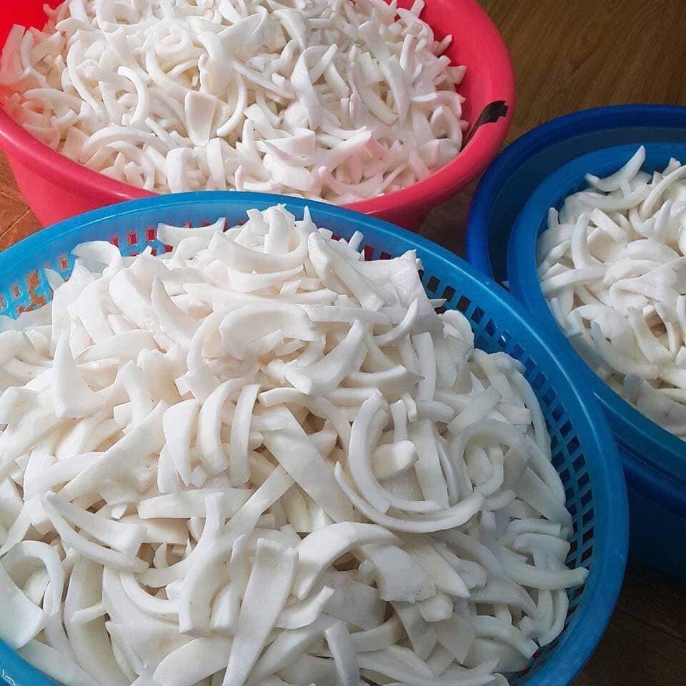 Fresh Coconut meat Jelly coconut meat is fruit meat inside a Coconut +84947900124