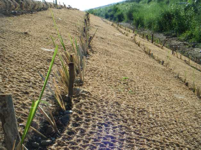 Coconut Net Biodegradable Erosion Control Coir Blanket Coir Matting Coir Felt 0084947900124