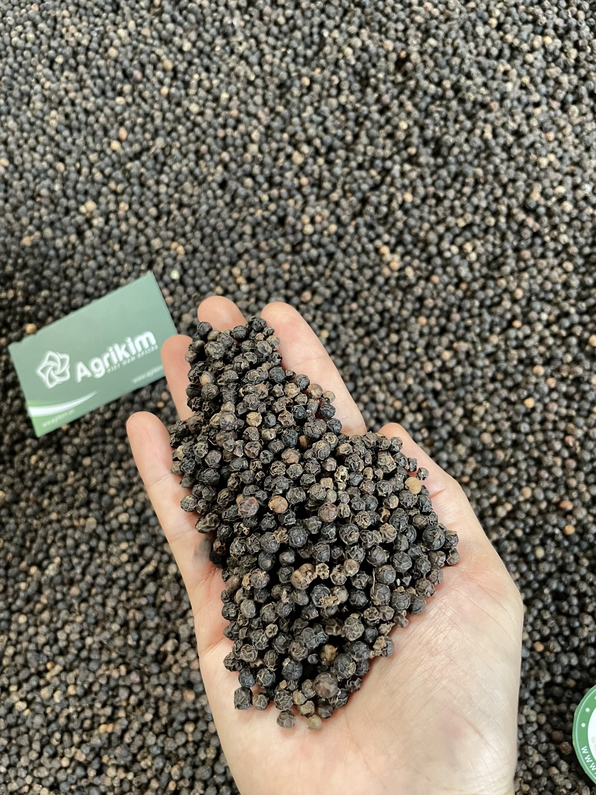 SPECIAL BLACK PEPPER FOR EXPORT - PEPPERCORN BLACK PEPPER WHOLE BLACK PEPPER WITH THE BEST PRICE FORM VIETNAM +84363565928