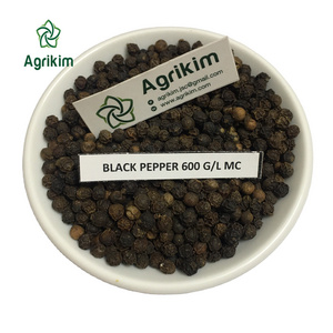 SPECIAL BLACK PEPPER FOR EXPORT - PEPPERCORN BLACK PEPPER WHOLE BLACK PEPPER WITH THE BEST PRICE FORM VIETNAM +84363565928