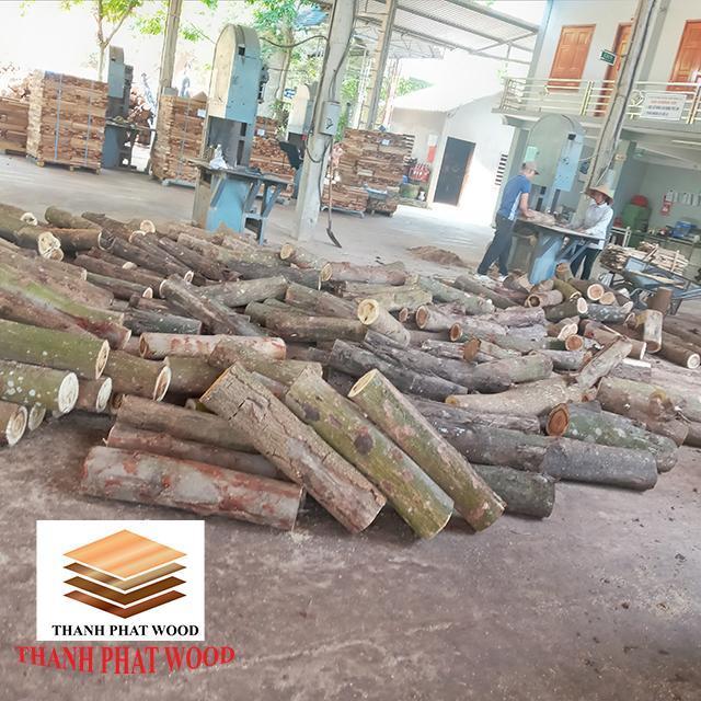 Top quality Natural Acacia Sawn Timber for Making Rubber Flooring or Pallet Export to Korea from Vietnam Best Supplier