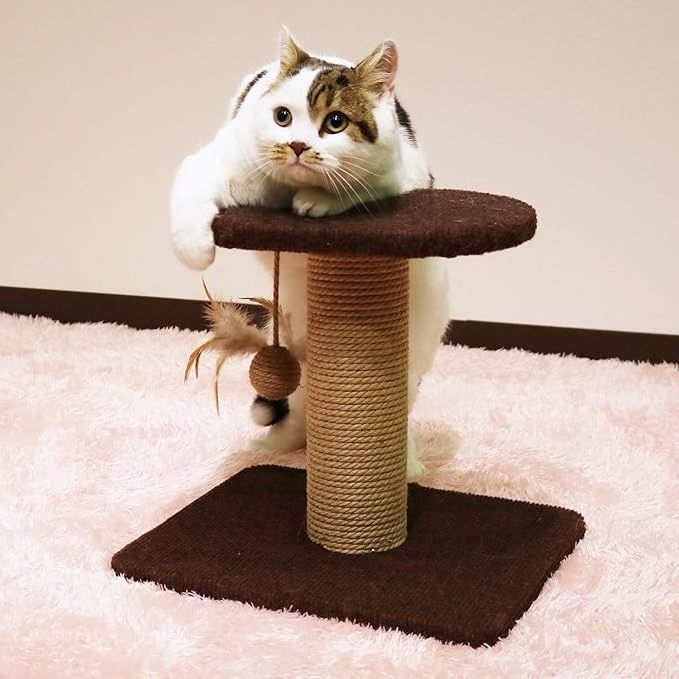 Vietnam Premium Quality 2-in-1 Pet Furniture Cat Bed and Scratching Post for Cat Lying down