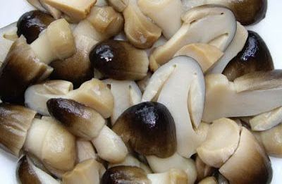 TOP SELLING Wholesale Price Best Quality Delicious Canned Straw Mushroom (Stem Skin Peeld Whole Half Cut) 425g