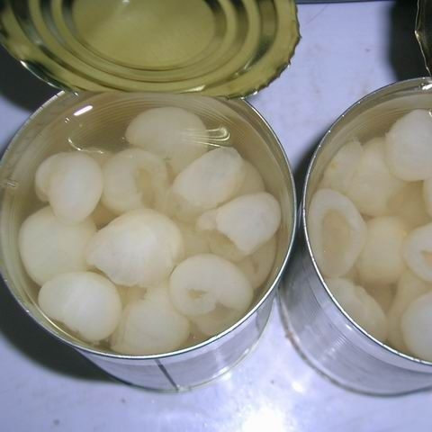 SPECIAL PRICE FOR INDIA MARKET High Quality Canned Longan In Syrup With Various Can Size