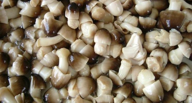 TOP SELLING Wholesale Price Best Quality Delicious Canned Straw Mushroom (Stem Skin Peeld Whole Half Cut) 425g