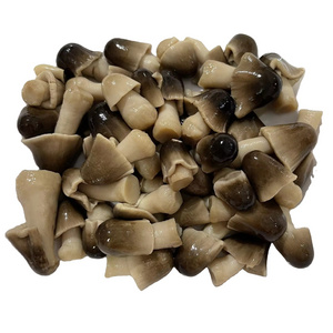 TOP NOTCH QUALITY Wholesale Price Best selling Factory In Vietnam Canned Straw mushroom 425g