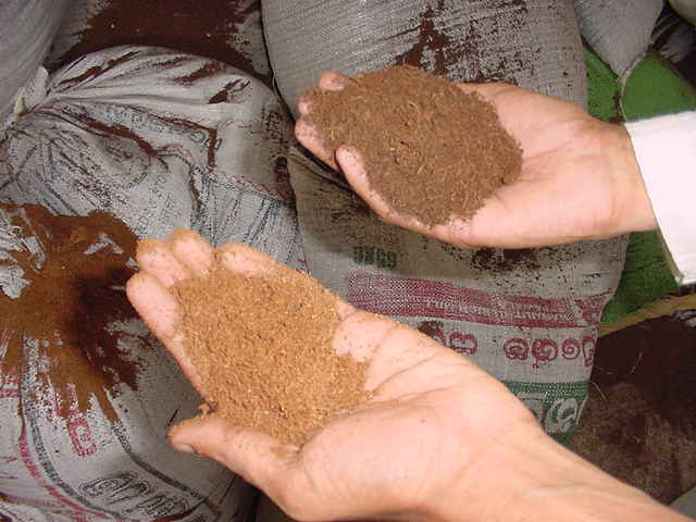 Coconut Shell Coco Peat Coco Husk Chip High Standard Manufacturer And Exporter Made From Vietnam Good Price