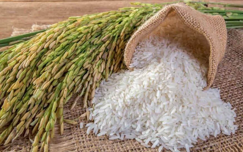 JASMINE KDM OEM/ODM Packing Fresh Grain Vietnamese rice 6.8mm Sugar Shelf Water Origin Type Hard vietnamese rice