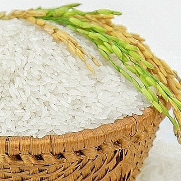 JASMINE KDM Rice White Max OEM Box Crop Style Time Packing Kind Color Cooking Sugar Shelf Water Origin vietnamese rice