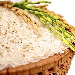 Max Soft White JASMINE KDM Kind Color white Origin  Fresh Grain  Place Vietnamese rice Shelf Water Origin Type Hard vietnamese rice