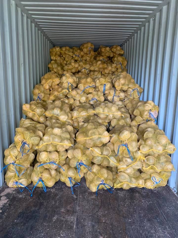 FRESH YOUNG COCONUT COCONUT FRUIT FRESH COCONUT FROZEN DRIED POWDER  WHOLESALE CHEAPEST PRICE- Whatsapp 0084989322607