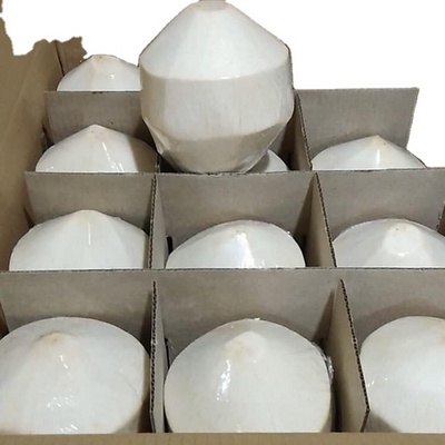 FRESH YOUNG COCONUT COCONUT FRUIT FRESH COCONUT FROZEN DRIED POWDER  WHOLESALE CHEAPEST PRICE- Whatsapp 0084989322607