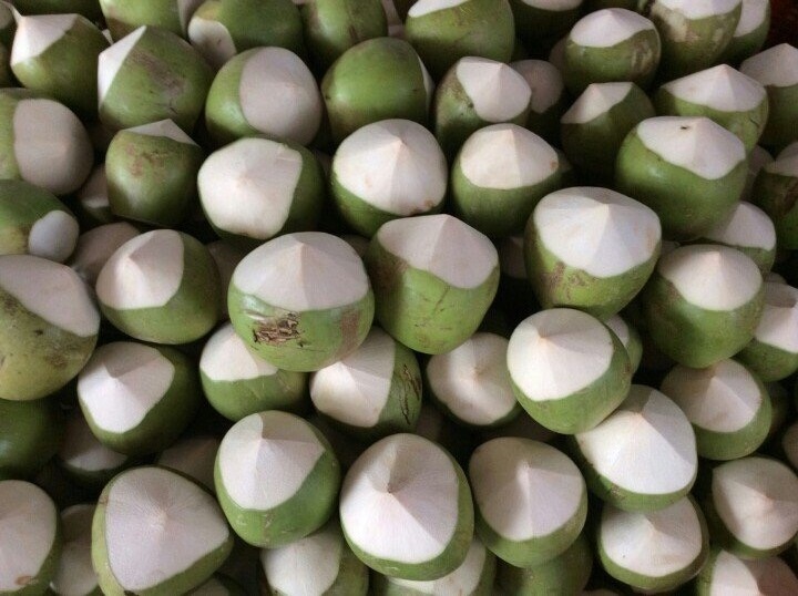 FRESH YOUNG COCONUT COCONUT FRUIT FRESH COCONUT FROZEN DRIED POWDER  WHOLESALE CHEAPEST PRICE- Whatsapp 0084989322607