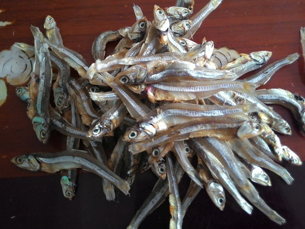 Dried Anchovy Well Sun Bulk/ OEM EU market - Dried Seafood Well sun- Seafood(at)linda(dot)com -W/S: 0084 9989 322 607