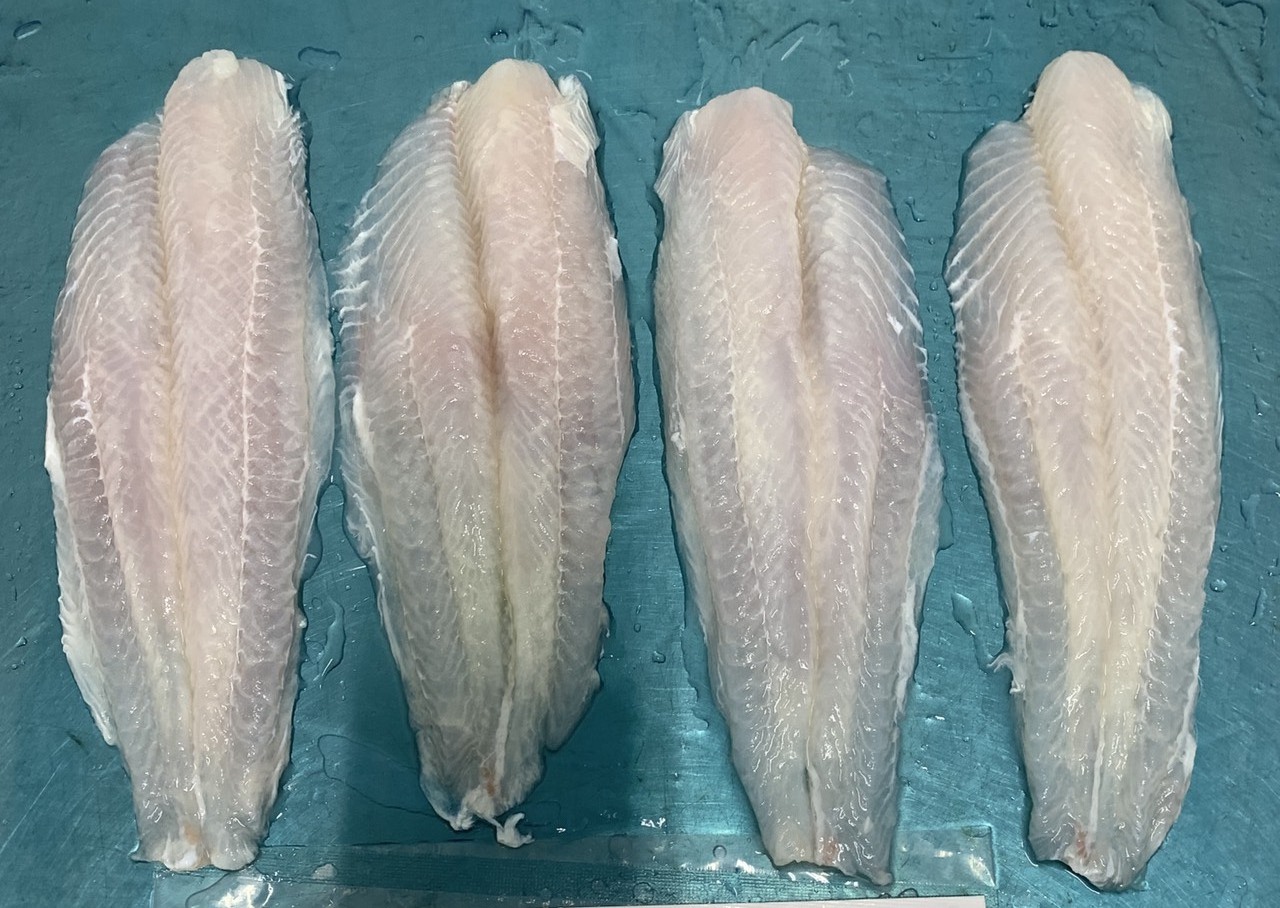 Safe and Nutritious Frozen Swai Fish Fille Pangasius Fillet Sutchi catfish fillet from VietNam- Whatsapp 0084989322607