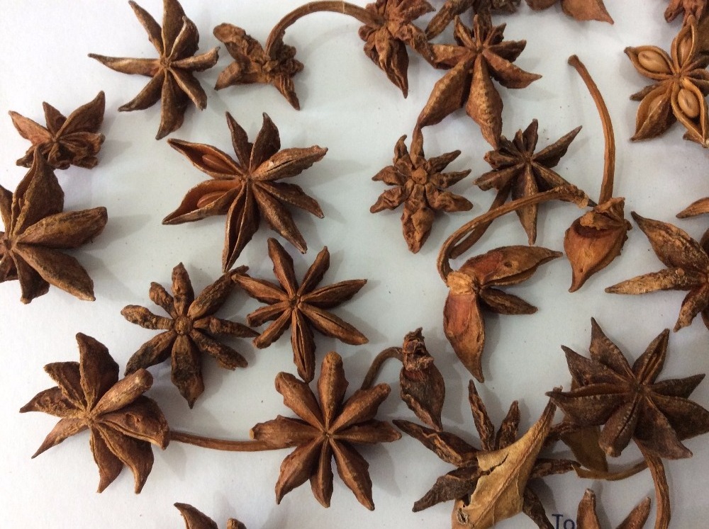 Star Anise Whole/ Broken/ Powder - Cinnamon Factory Spices As Request To EU market Whatsapp 0084 989 322 607