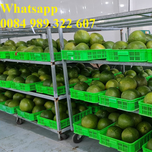 VIETNAM SWEET GREEN SKIN POMELO DRIED HEALTHY FRUITS- HIGH QUALITY, GOOD PRICE - whatsap 0084989322607