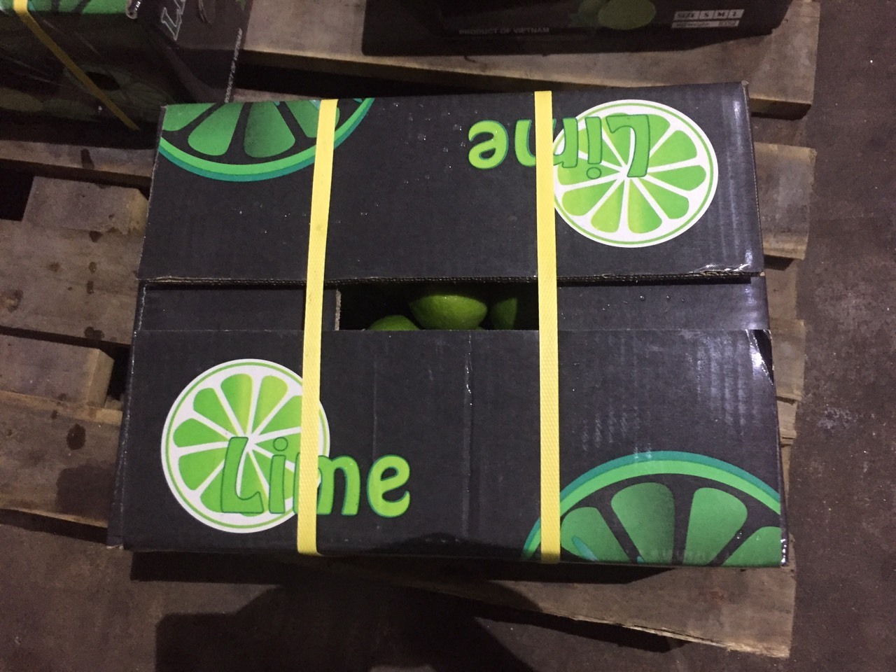 Fresh Green Lime Citrus Fruit- Fresh Lemon / LIME Seedless From Vietnam For Asia, Middle East- LINDA WS 0084 989 322 607