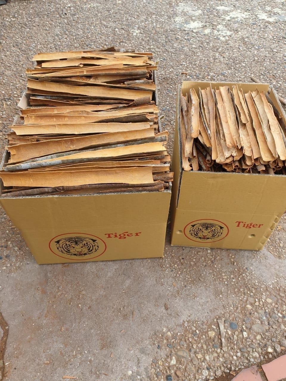 Wholesale Price China Spices High Quality Organic Cassia Cinnamon Sticks Cinnamon Rolls (LINDA WHATSAPP : 0084 989 322 607)