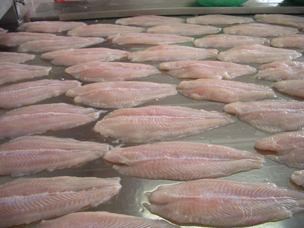 Safe and Nutritious Frozen Swai Fish Fille Pangasius Fillet Sutchi catfish fillet from VietNam- Whatsapp 0084989322607