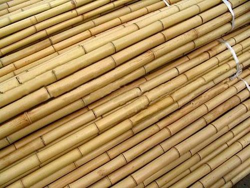 Nature Straight Strong Bamboo Canes Bamboo Poles/raw Bamboo Material/bamboo Canes