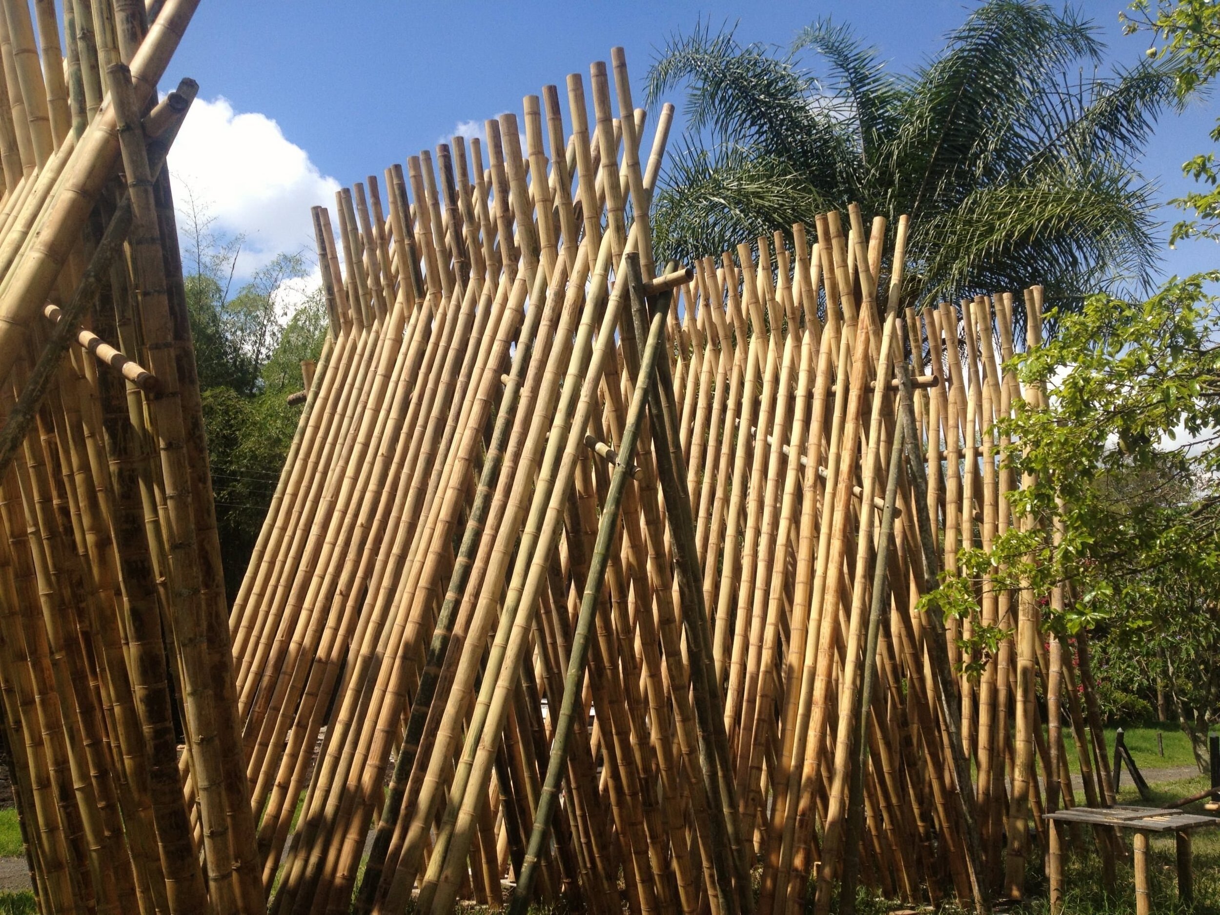 Nature Straight Strong Bamboo Canes Bamboo Poles/raw Bamboo Material/bamboo Canes