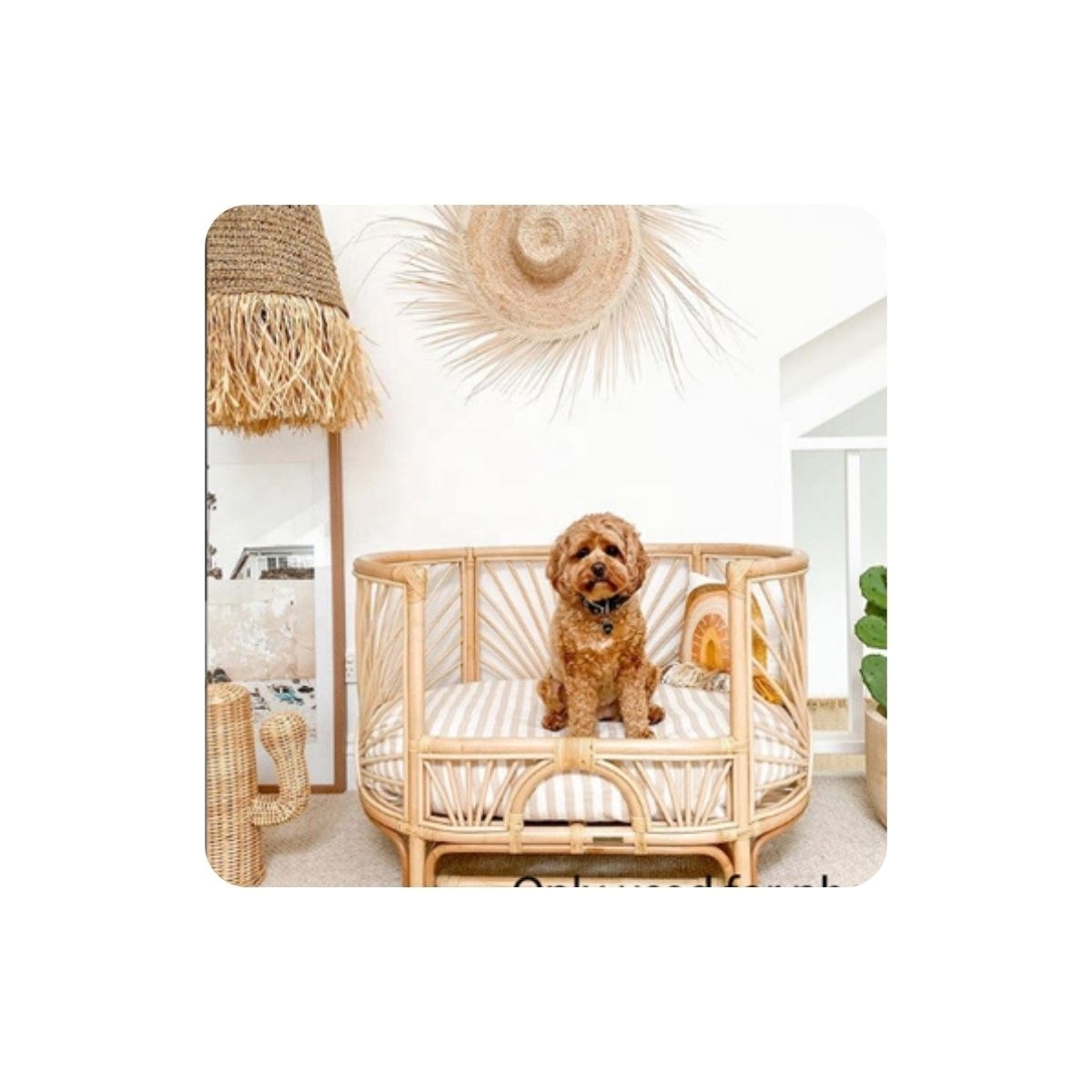 New Arrival Lovely Natural Rattan Materials Pet Bed for Dog and Cat from Vietnam