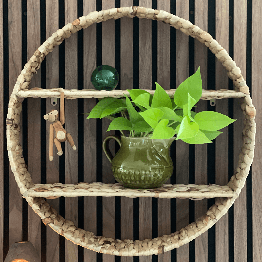 Braided Circle Wall Shelves Basket Wicker Water Hyacinth Storage Basket Hanger from King Craft Viet Wall Shelf