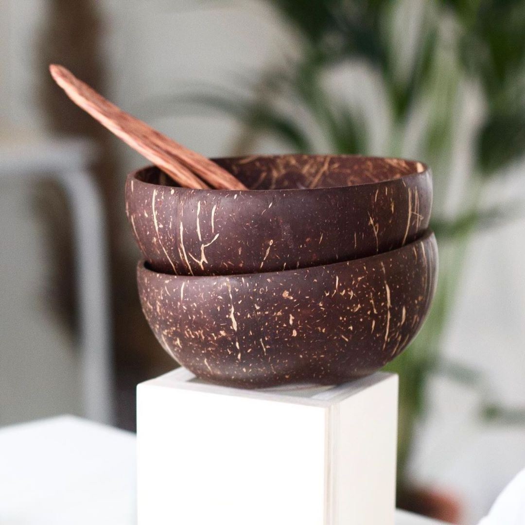 Vietnamese Competitive Price Coconut Shell Bowl Eco-friendly Bowl