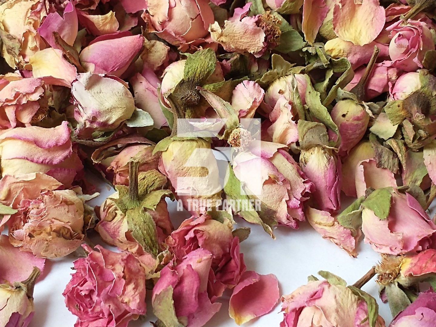 Wholesale Vietnam Organic Dried Rose Buds Tea in Stock Ready to Ship (Nancy - +84981859069)