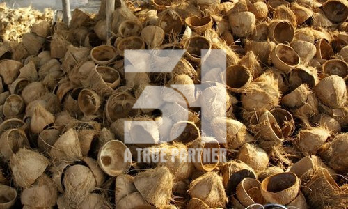 Vietnamese Products Coconut Shell Raw In Bulk With Cheap Price And Ready To Ship