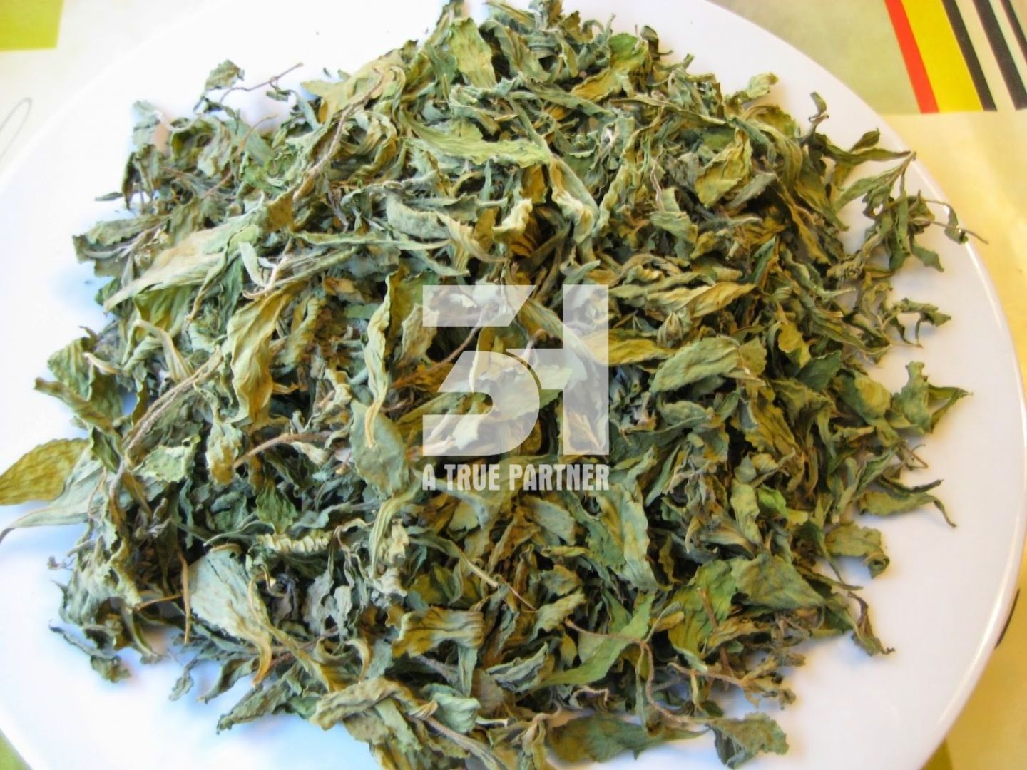 Healthy Organic Cheap Dried Green Tea Leaves in Bulk from Vietnam (Ms. Nancy - +84981859069)