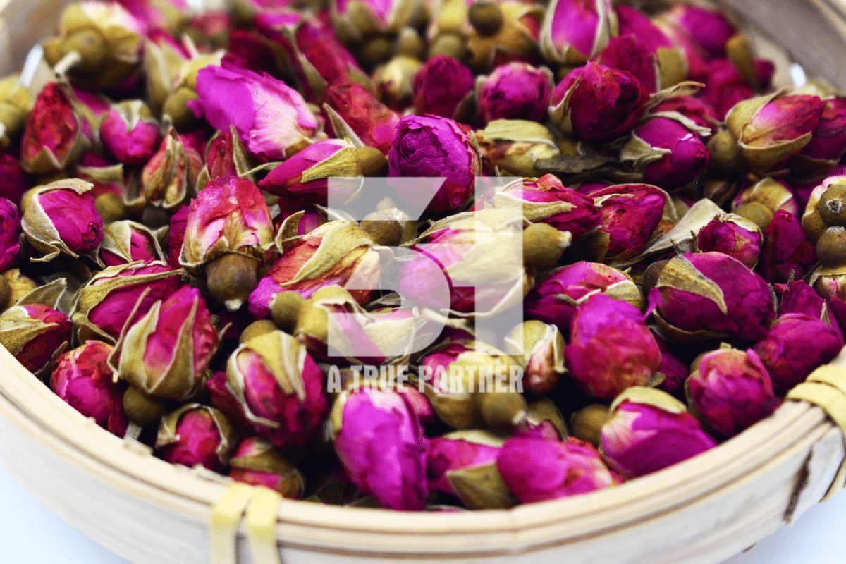 Organic Dried Rose Buds Tea in Stock from Vietnam with Best Price (Nancy - +84981859069)