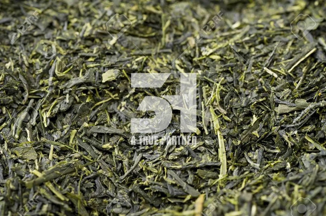 Best Price Organic Dried Green Tea Leaves from Vietnam with Ready to Ship (Ms. Nancy - +84981859069)