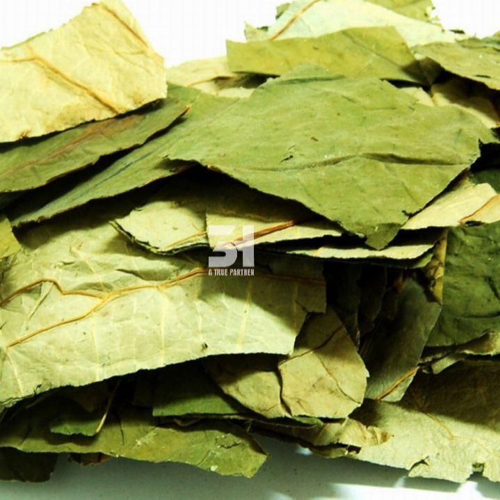 Vietnam Dried Lotus Leaves in Bulk Ready to Ship with Good Price (Ms. Nancy - +84981859069)