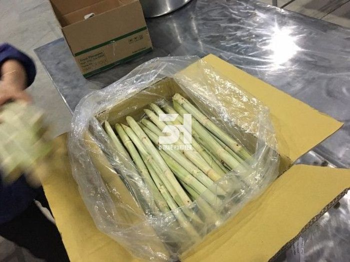 Fresh Frozen Sugar Cane Export Good Price And Best Quality From Viet Nam Ready To Ship