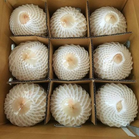 Exporter Frozen Tropical fruit/ Diamond Cut Coconut From Vietnam supplier tropical food/ coconut diamond shape