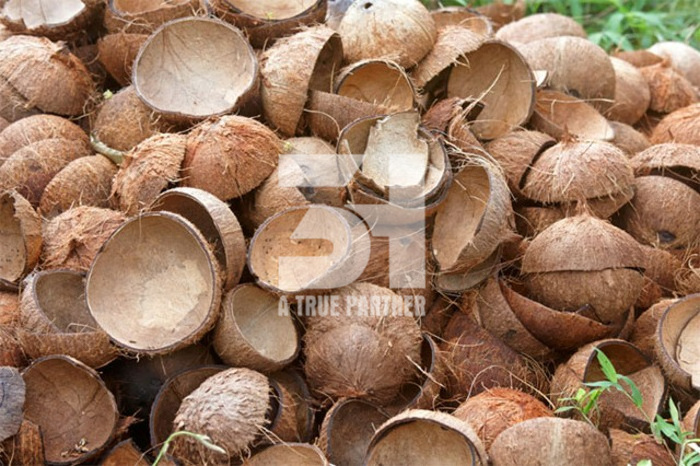 Vietnamese Products Coconut Shell Raw In Bulk With Cheap Price And Ready To Ship