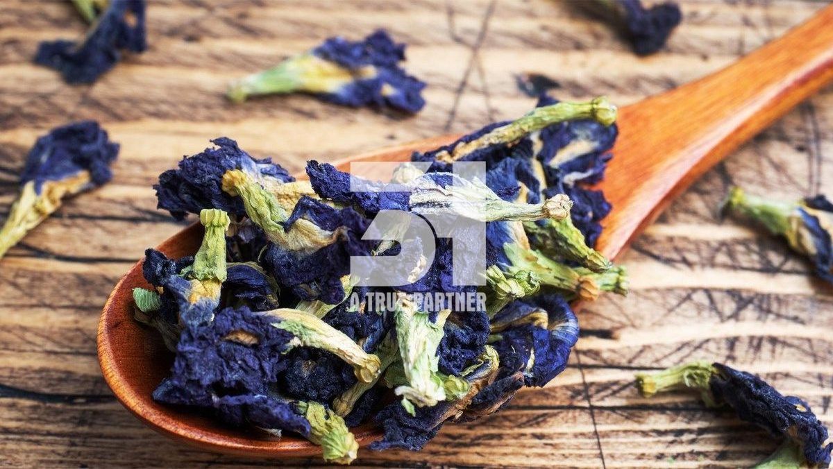 Bulk Natural Dried Butterfly Pea Flower from Vietnam Ready to Ship (Ms. Nancy - +84981859069)