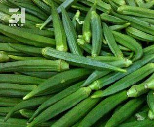 Top Grade Frozen Okra From Vietnam Fresh Vegetables