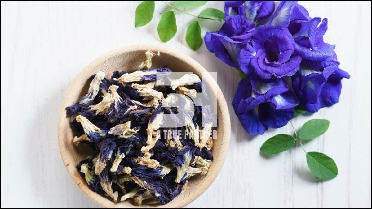 Bulk Natural Dried Butterfly Pea Flower from Vietnam Ready to Ship (Ms. Nancy - +84981859069)