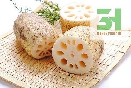 Wholesale Vietnam Organic Lotus Root In Stock Ready To Ship From 3H VietNam ( Ms.Nancy +84 981 859 069)