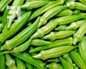 Vietnamese Frozen Okra Organic High Quality Good Price